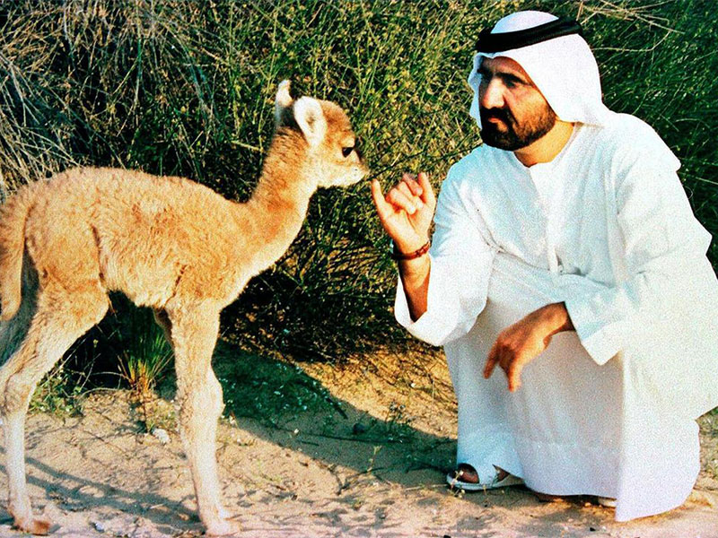 في عيد ميلاده السبعين... صور لأهم المحطات في حياة الشيخ محمد بن راشد